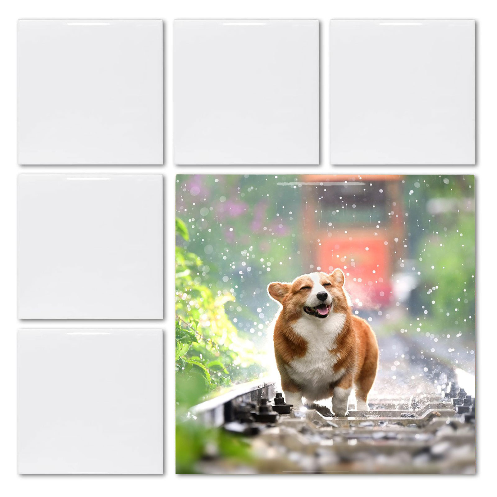 20 pezzi di piastrelle quadrat - Ceramic Tile Blank recensione e prezzo